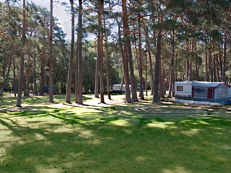 Zona de acampada, con una mobile-home en una pradera verde